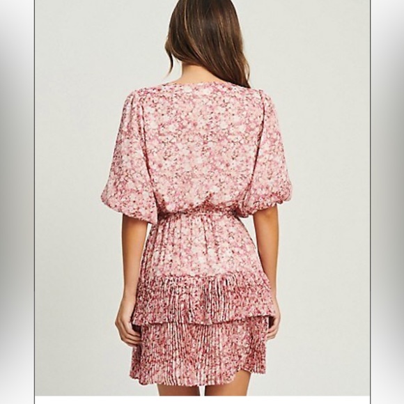 BNWT Pink Floral Dress - Picture 3 of 13